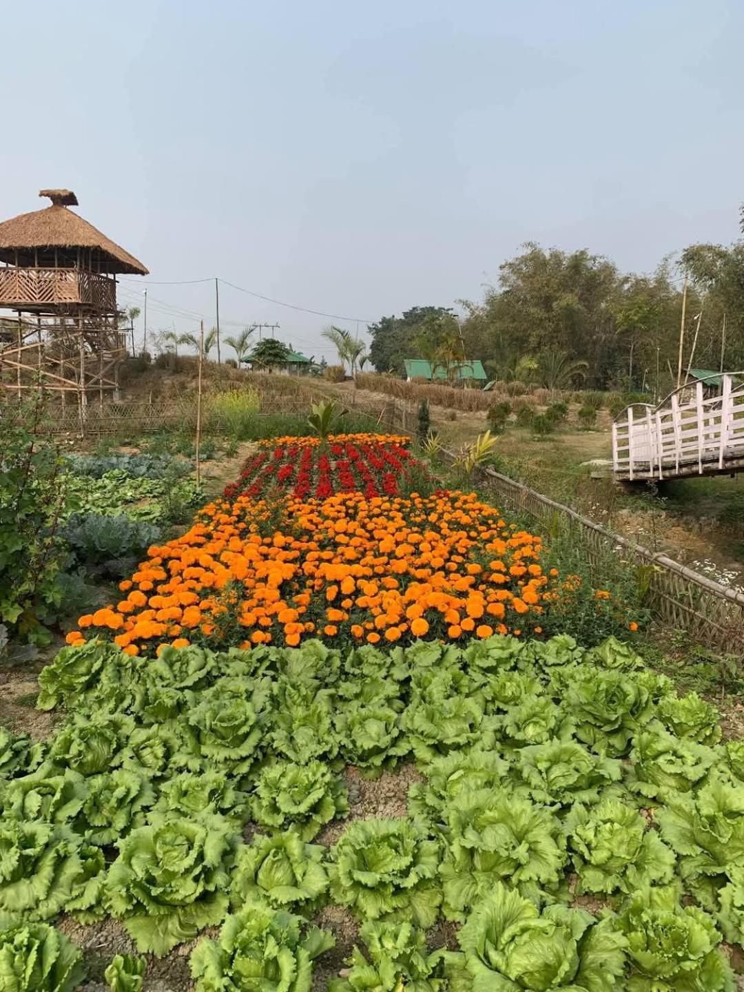 Bogibil Eco Resort New Dibrugarh Eksteriør billede