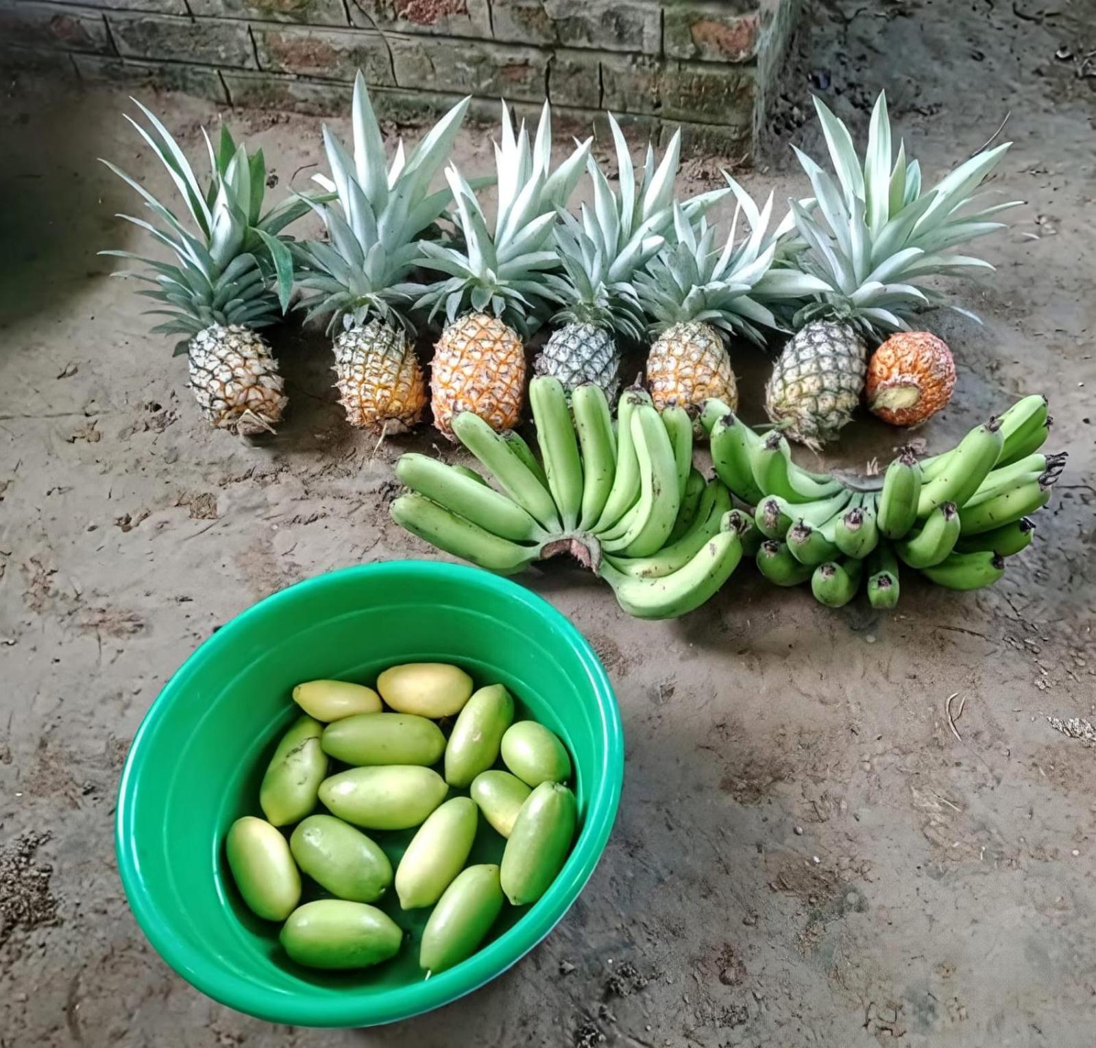 Bogibil Eco Resort New Dibrugarh Eksteriør billede